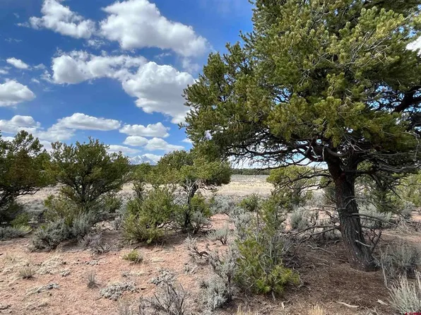 TBD Annenberg Road, Fort Garland, CO 81133