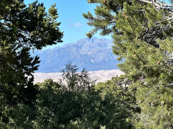 224 Big Bear Rd, Mosca, CO 81146