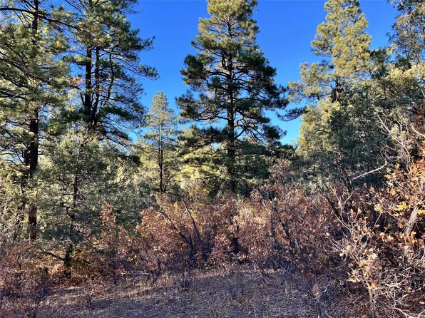 0 Seven #T35-u, Chama, NM 87520