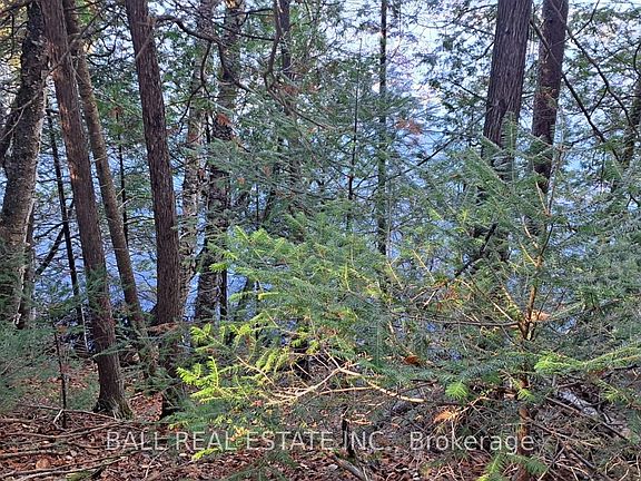 5th image of 1992 Smith Rd