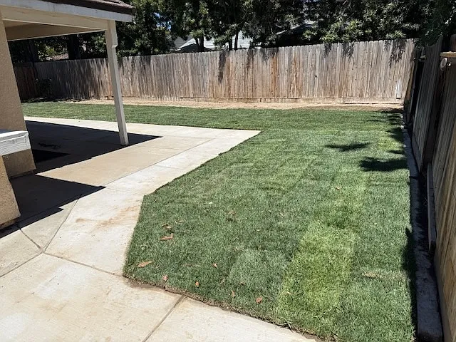 Backyard with both open and covered patios