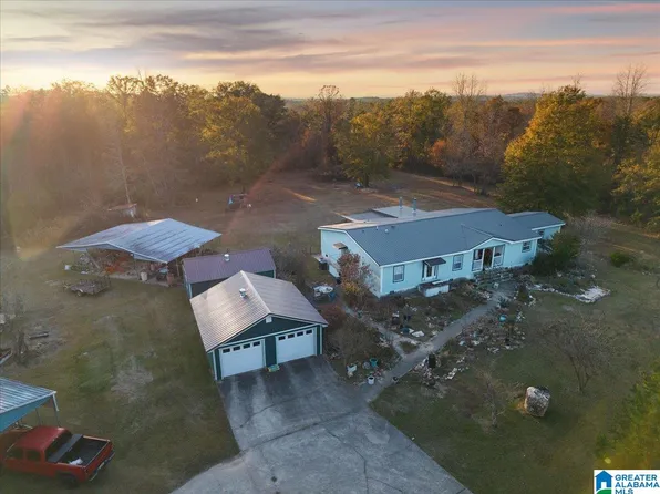 1660 Feddisburg Rd, Alpine, AL 35014