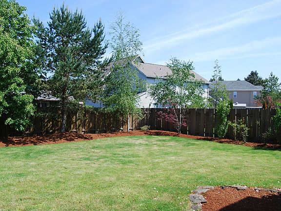 Back Yard 2