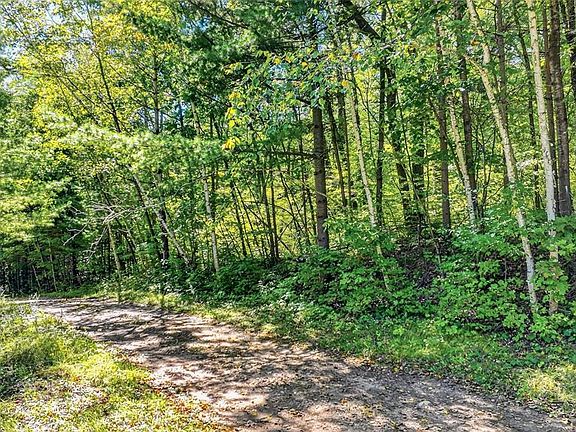 2nd image of Lot 3 on 290th Avenue