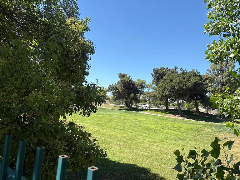 5309 Pelican Hill Dr — Photo 18