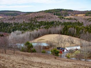 Lutheranville Rd, Summit, NY 12175