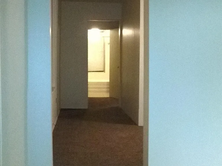 1417 Bingham St #2 — Photo 5