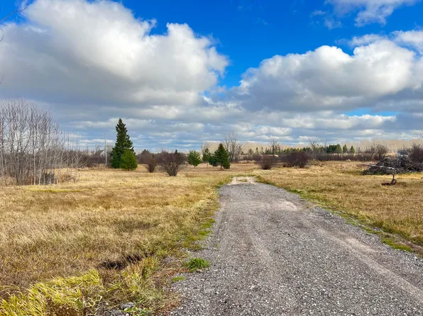 14411 S Ridge Rd, Dafter, MI 49724