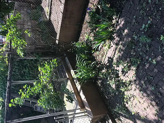 Rented by Nooklyn NYC LLC | media 26