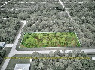 433 Archer Ave NW, Lake Placid, FL 33852