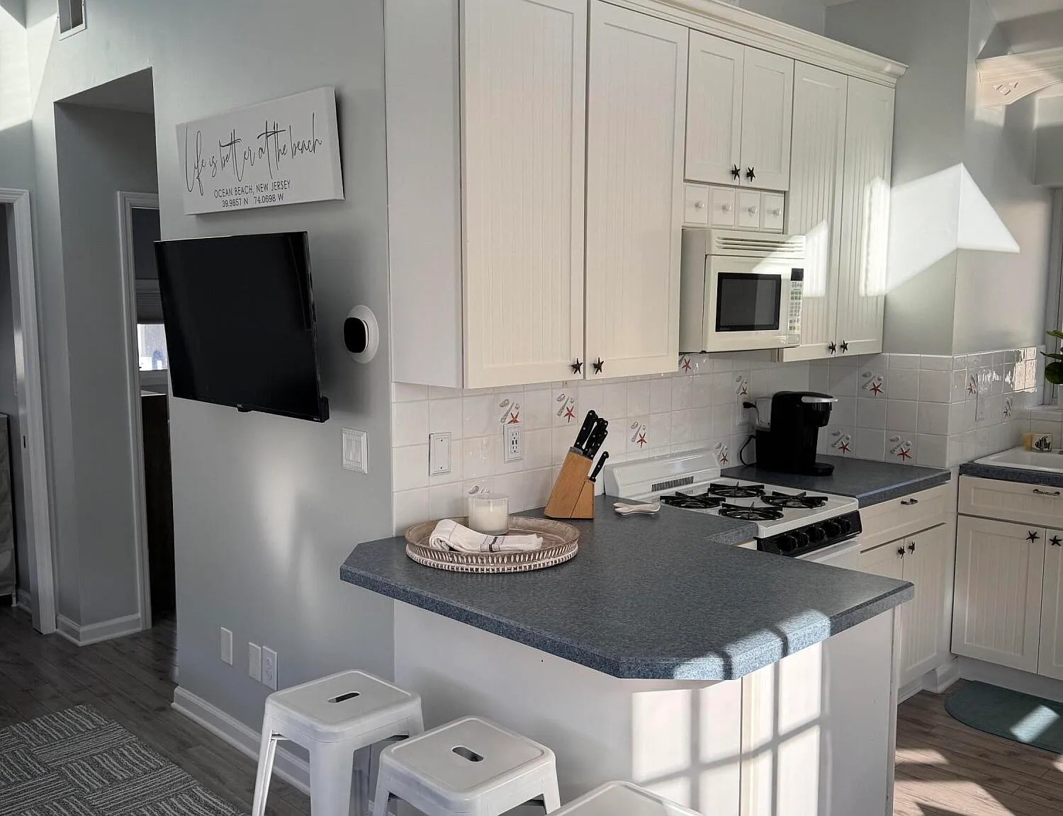 2 bed, 534 sqft, $2,500 — Photo 4