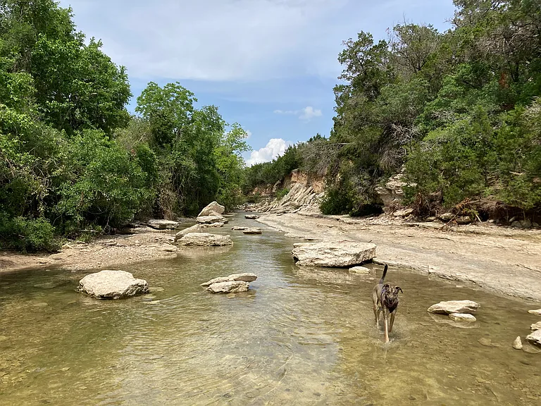 Nearby Walnut Creak Park is a seven minute walk away. It features hiking and biking trails, baseball fields, basketball courts, picnic areas, and a large off leash area for dogs.