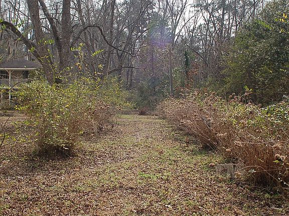 Hydrangea lined driveway