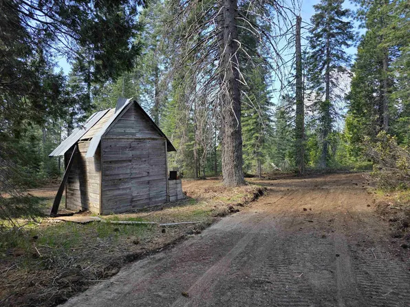3-C-21 Fumarole Dr, McCloud, CA 96057