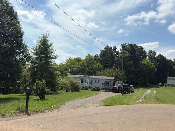 1017 Ashley Meadows Dr, Strawberry Plains, TN 37871