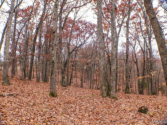 4th image of 0 Big Tavern Creek Rd