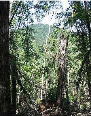 5th image of 2054 County Road 3027
