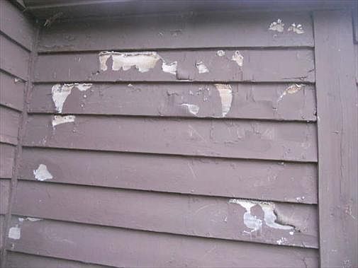 2nd image of 907 Garden Ln