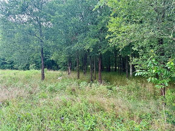 4th image of 16806 County Road 439