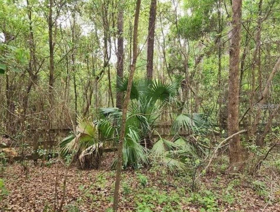 1st image of 15363 SE 156TH PLACE ROAD LOT 4