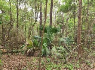 15363 SE 156TH PLACE ROAD LOT 4, WEIRSDALE, FL 32195