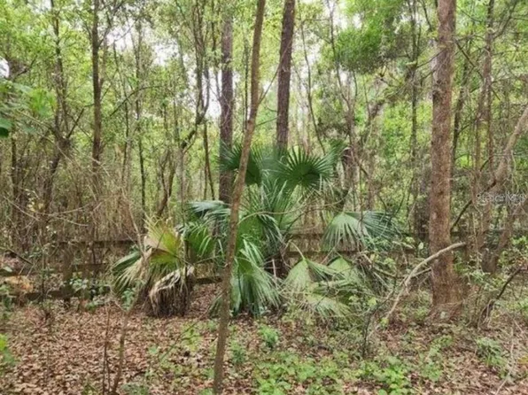 15363 SE 156TH PLACE ROAD LOT 4, WEIRSDALE, FL 32195