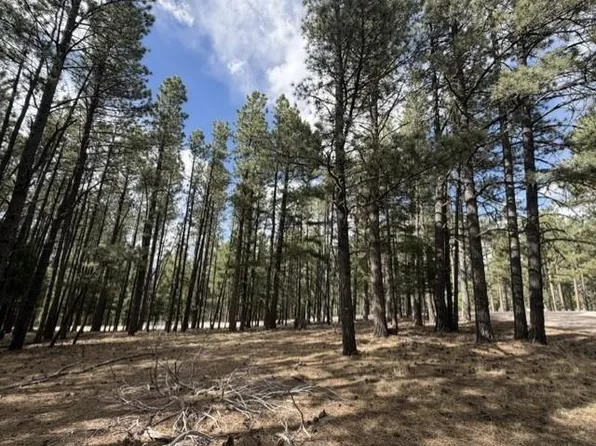 Lot 12 Broadmoor Way, Angel Fire, NM 87710