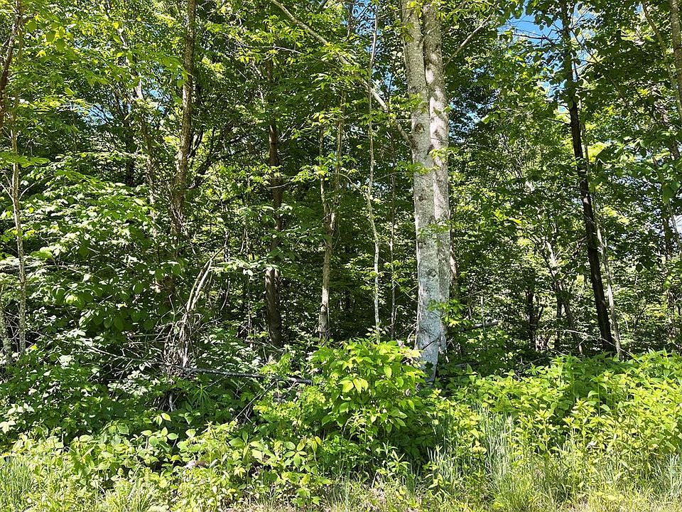 1st image of 1568 Elk Wallow