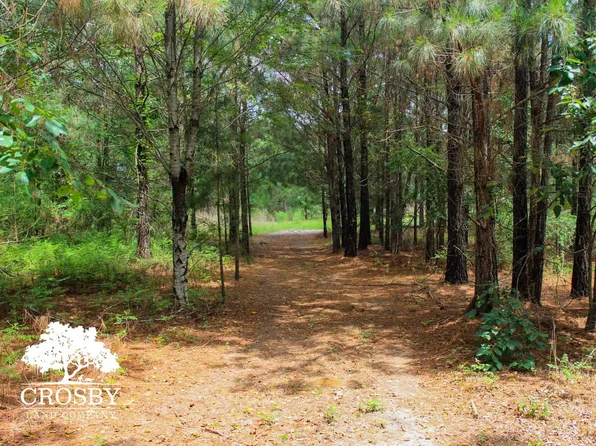 Red Oak Rd, Barnwell, SC 29812