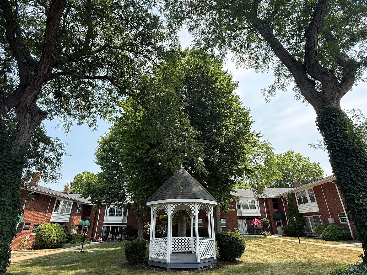 1 bed, 931 sqft, $1,250 — Photo 4