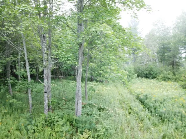 59 Black Road S, Searsport, ME 04974