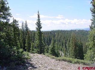 10 Geneva Loop, Pitkin, CO 81241