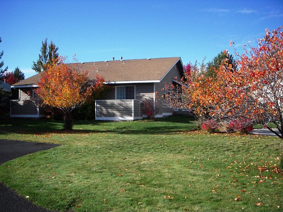 Back View