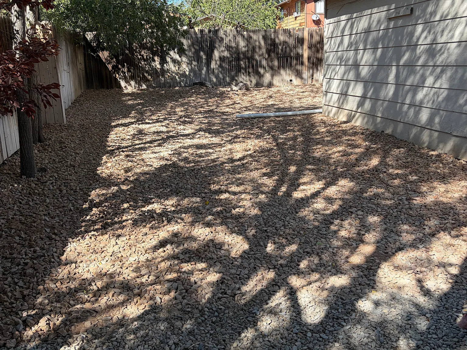 2 bed, 1.5 bath, 900 sqft, $1,475 — Photo 3