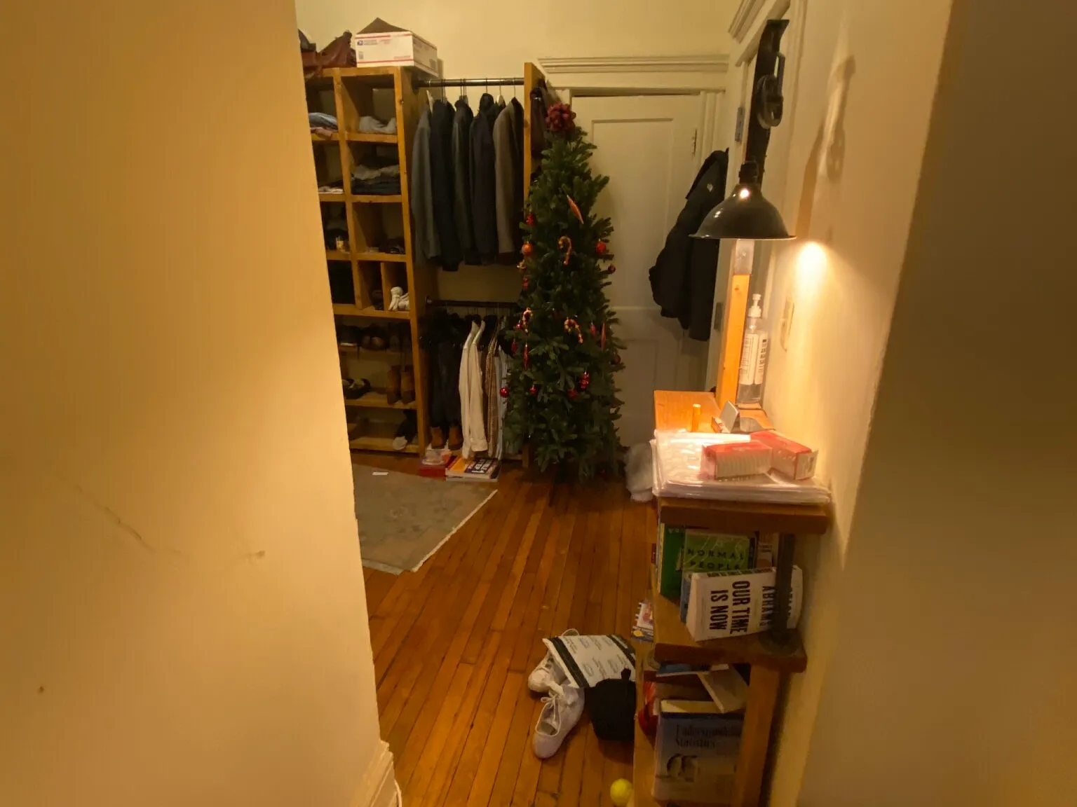 Studio, 550 sqft, $2,400 — Photo 3