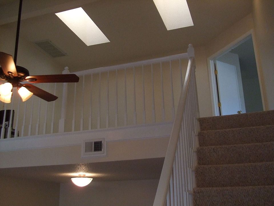 Loft and Ski Lights
