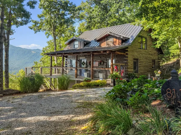 811 Christy Ln, Townsend, TN 37882