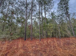 NW Northwest 18 Ter LOT 4, Bell, FL 32619
