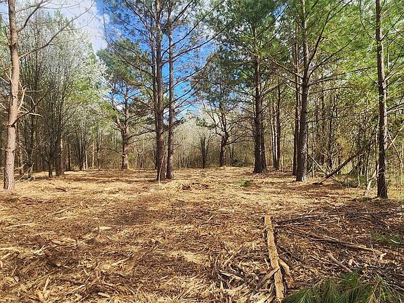 3rd image of 125 Acuff Rd