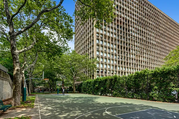 Rented by Douglas Elliman | media 14