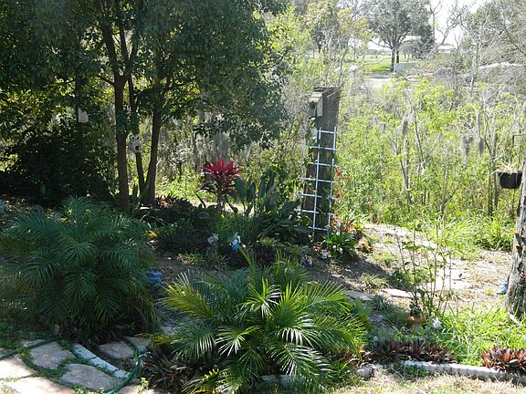 Backyard Garden