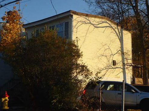 4th image of 277 Van Ness St