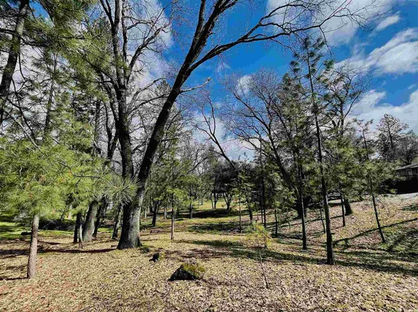 7-53 Ferretti Rd, Groveland, CA 95321