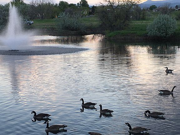 Lake Arbor