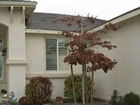 7456 Ash Peak Dr photo 1