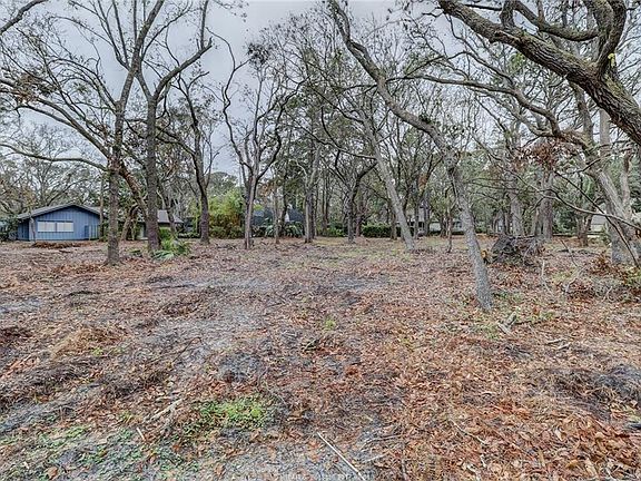 5th image of 117 S Port Royal Dr