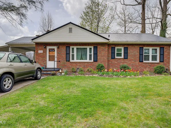 733 N Elm Ave, Erwin, TN 37650