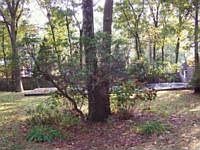 1st image of 54 Glenridge Ave