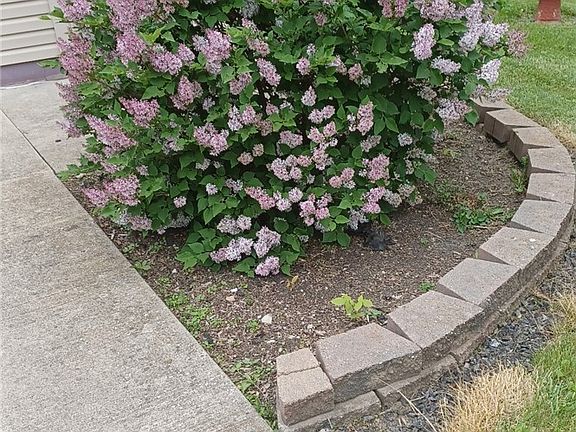 2nd image of 4209 Majorna Dr