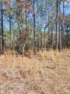 4379 N BAYWOOD DRIVE LOT 32, Beverly Hills, FL, 34465